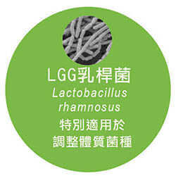 LGG鼠李糖乳桿菌 又稱LGG菌，特別適合用於調整體質的菌種。