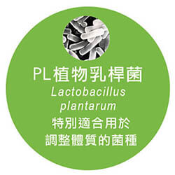 PL植物乳桿菌 又稱PL乳桿菌，特別適合用於調整體質的菌種。