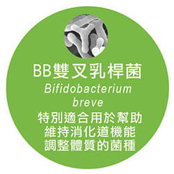 BB雙叉乳桿菌 又稱BB短雙叉菌，最早存在於嬰兒消化道中的優勢菌種。