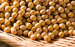 100公斤的大豆卵磷脂只含有0.5公斤的磷脂醯絲胺酸PS