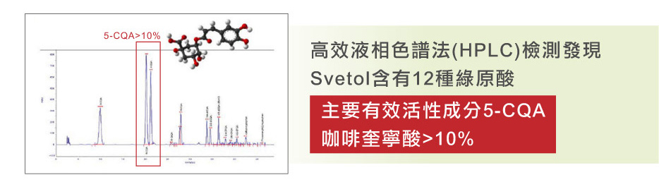 綠咖啡豆推薦