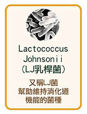 LJ乳桿菌Lactobacillus johnsonii又稱約氏乳酸桿菌，可維持消化道健康，提升防禦的菌種。