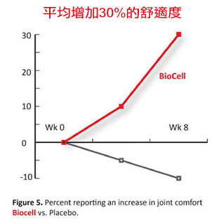 BioCell第二型膠原蛋白-平均增加30%的舒適度
