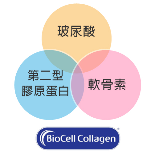 美國BioCell 原廠專利小分子膠原抽出物(含有玻尿酸+膠原蛋白+軟骨素)