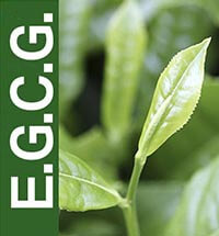 日本當紅的機能性食品素材-綠茶中的關鍵元素-兒茶素益多酚EGCG