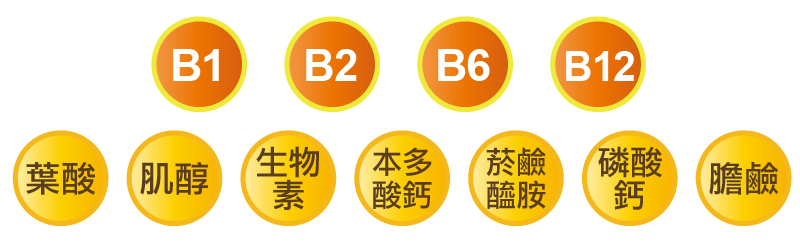 維生素B1、B2、菸鹼酸B3、泛酸B5、B6、生物素B7、肌醇B8、葉酸B9、B12、膽鹼