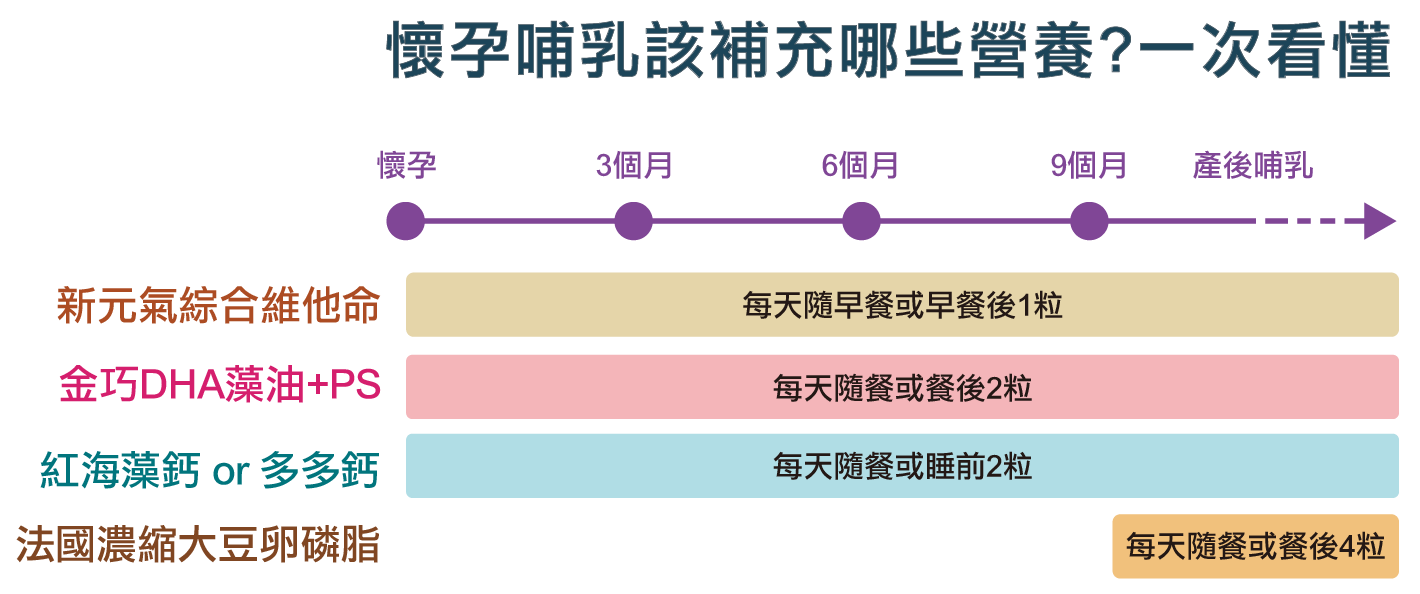 懷孕各階段建議營養素