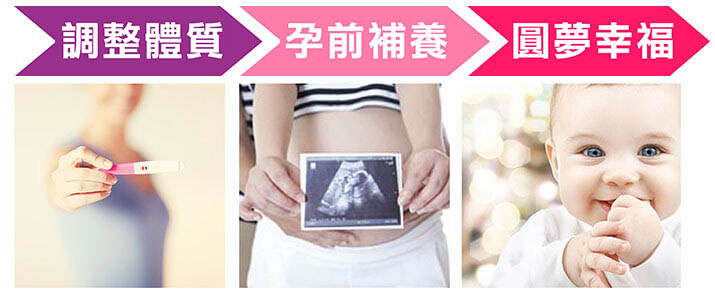 孕前補養→調節生理機能→調整體質