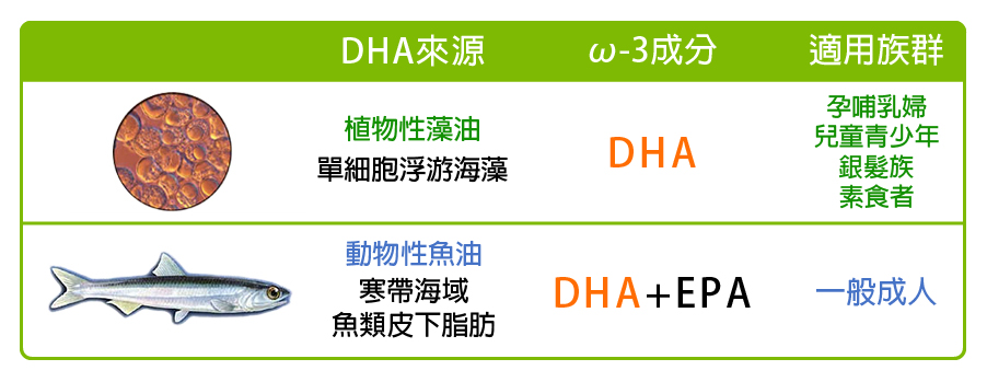 DHA來源【動物性魚油、植物性藻油】