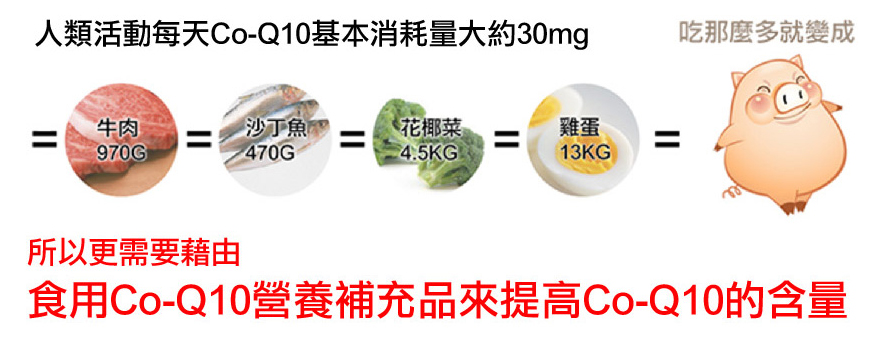 人類活動每天Co-Q10基本消耗量大約30mg=牛肉970g=沙丁魚470g=花椰菜4.5kg=雞蛋13kg=吃那麼多就變成豬豬！所以更需要藉由食用Co-Q10營養補充品來提高Co-Q10的含量