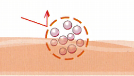 酸性環境下，纖維會收縮避免胃酸破壞蔓越莓活性成分