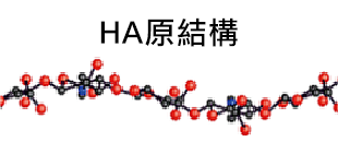 玻尿酸功效 HA分子原結構
