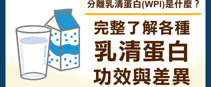 分離乳清蛋白功效 是什麼？完整了解與市售品差異｜高效高蛋白粉