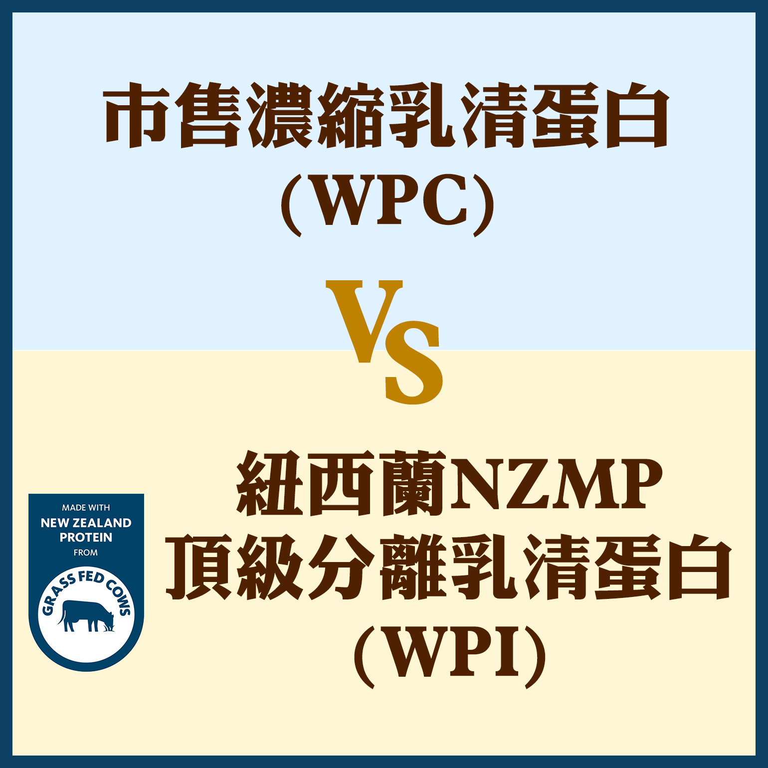 分離乳清蛋白功效 對決一：市售濃縮乳清蛋白(WPC) vs. 紐西蘭NZMP頂級分離乳清蛋白(WPI)