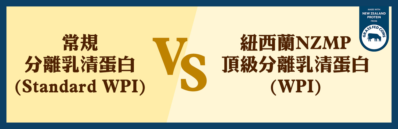 分離乳清蛋白功效 對決一：市售濃縮乳清蛋白(WPC) vs. 紐西蘭NZMP頂級分離乳清蛋白(WPI)