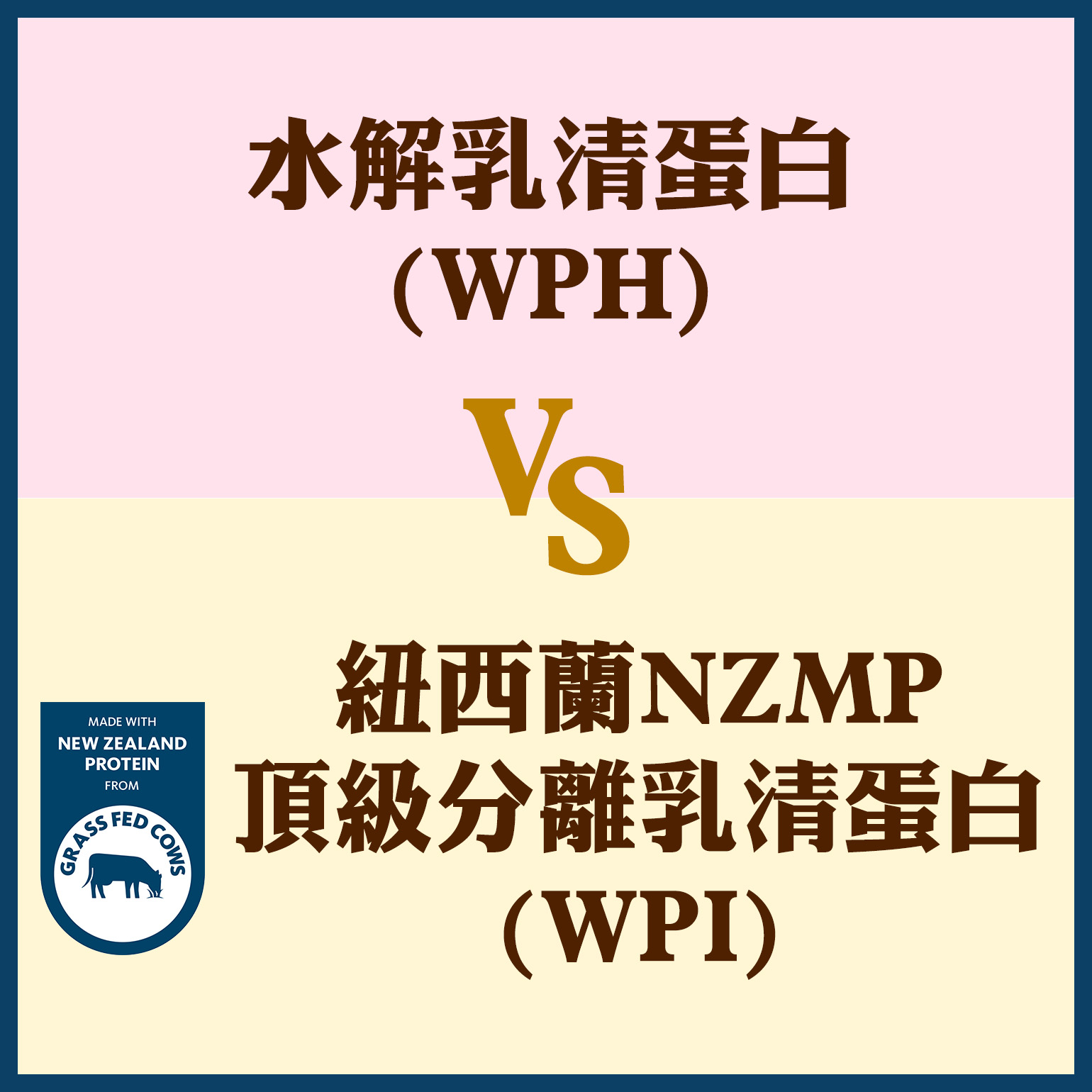 分離乳清蛋白功效 對決一：市售濃縮乳清蛋白(WPC) vs. 紐西蘭NZMP頂級分離乳清蛋白(WPI)