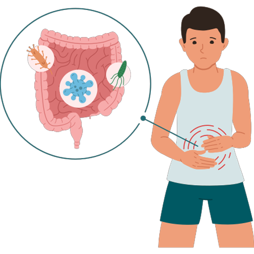 K2補鈣 迷思身體具備強大的自主合成維生素K2能力