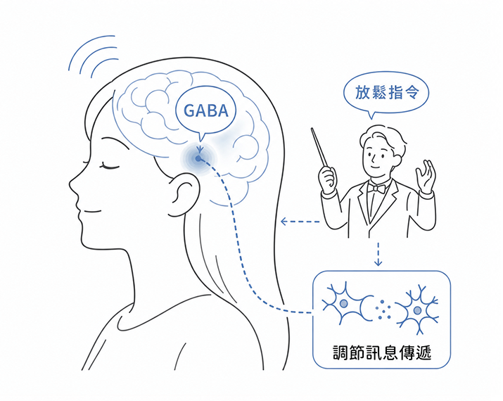 GABA是放鬆指揮官