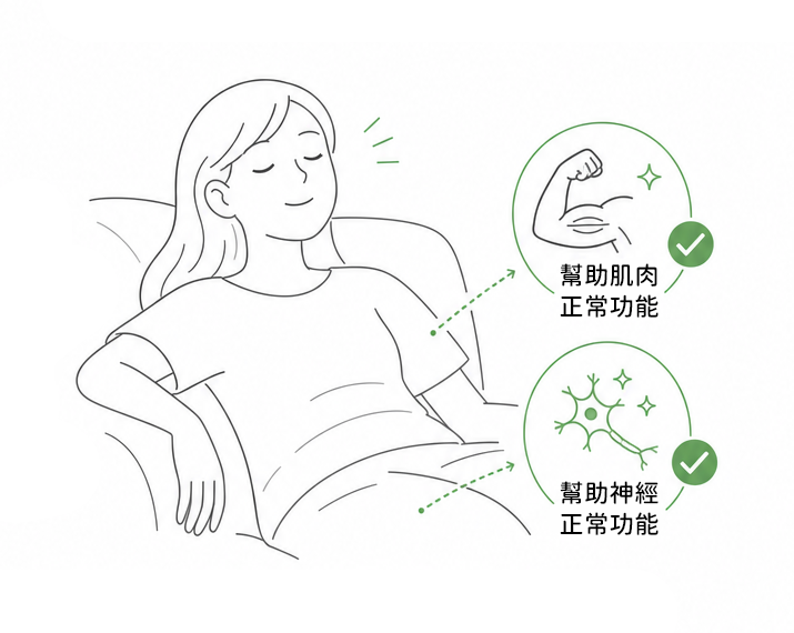 鎂有助於身體實質上的放鬆與舒緩