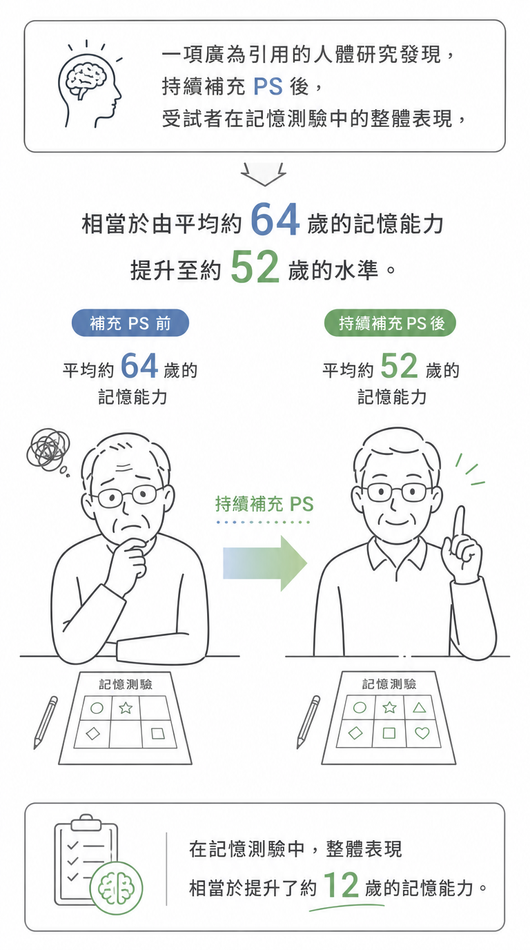 磷脂醯絲胺酸(腦磷脂)是什麼 持續補充PS，記憶力約提升12歲（失智保健維持認知）